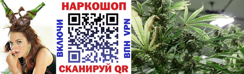 Сколько стоит Советский гидра вход  Бошки Шишки 