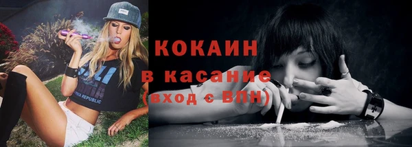 мяу мяу мука Абаза