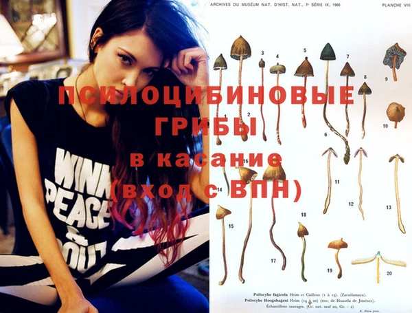 СК Кодинск