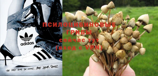 спайс Нея